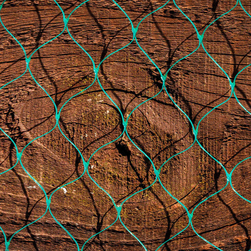 Anti-Bird Garden Netting - Ultra Tough Green & Black Mesh - High Demand Pest Barrier for Home & Pro Use