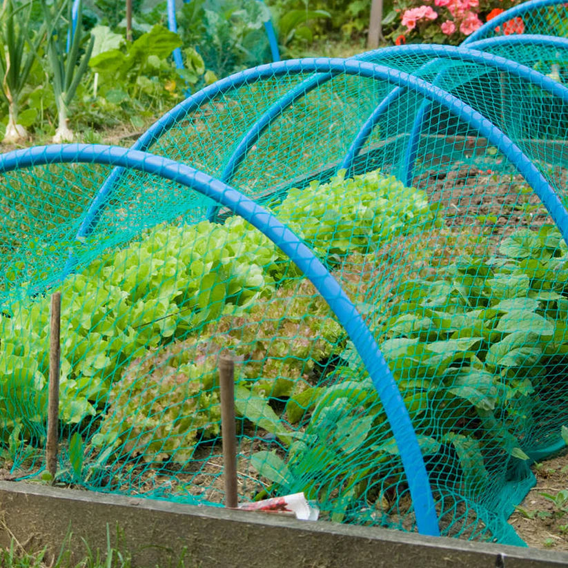 Anti-Bird Garden Netting - Ultra Tough Green & Black Mesh - High Demand Pest Barrier for Home & Pro Use